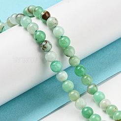 Natural Chrysoprase Beads Strands&nbsp;G-P503-6MM-03