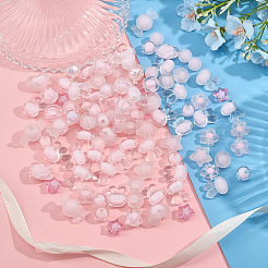 18 Style Transparent Acrylic Beads&nbsp;TACR-CA0001-20