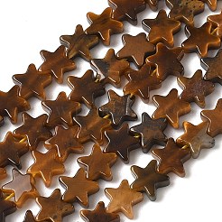 Natural Tiger Eye Beads Strands&nbsp;G-F817-A06-01