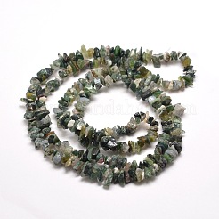 Natural Moss Agate Chip Bead Strands&nbsp;G-M205-45