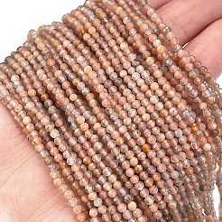 Natural Multi-Moonstone Beads Strands&nbsp;G-L597-C04-04