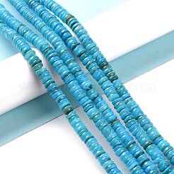 Shell Beads Strands&nbsp;SSHEL-E571-49C
