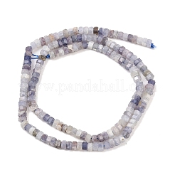Natural Iolite Beads Strands&nbsp;G-G345-C06-2x4mm
