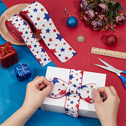 2 Rolls 2 Styles Polyester Ribbon&nbsp;OCOR-PH0007-87