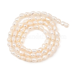 Natural Cultured Freshwater Pearl Beads Strands&nbsp;PEAR-F020-16