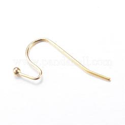 Iron Earring Hooks&nbsp;IFIN-T001-05G-NF