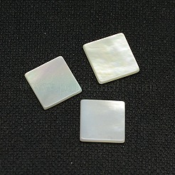 White Shell Cabochons&nbsp;SSHEL-I007-11