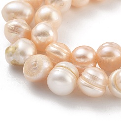 Natural Cultured Freshwater Pearl Beads Strands&nbsp;PEAR-C003-14B