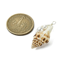 Natural Scallop Shell & Round Shell Pearl Pendants&nbsp;PALLOY-TA00197-01