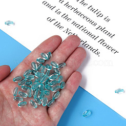 Transparent Acrylic Beads&nbsp;MACR-S373-134-T01