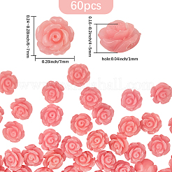 60Pcs Synthetic Shell Dyed Beads&nbsp;SHEL-PA0001-01A