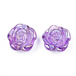 Transparent Acrylic Beads&nbsp;LS-TACR-N006-64C