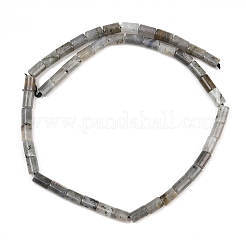 Natural Labradorite Beads Strands&nbsp;G-F832-B10-01