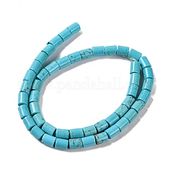 Natural Howlite Beads Strands&nbsp;G-H025-01