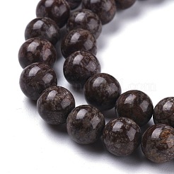 Natural Snowflake Obsidian Beads Strands&nbsp;G-K410-10-8mm