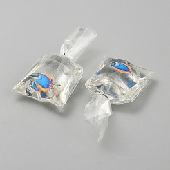 Transparent Resin Big Pendants&nbsp;RESI-TAC0024-01E
