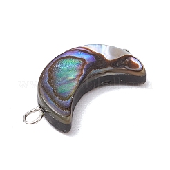 Natural Abalone Shell/Paua Shell Pendants&nbsp;PALLOY-JF02701-02