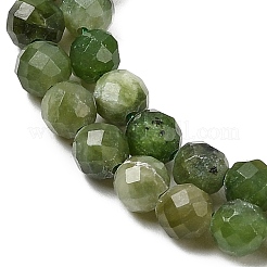 Natural Green Jasper Beads Strands&nbsp;G-RM250101-C10