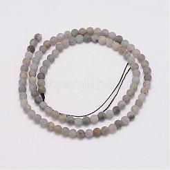 Natural Labradorite Beads Strands&nbsp;G-G970-02-4mm