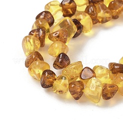 Natural Amber Beads Strands&nbsp;G-L095-E01-03