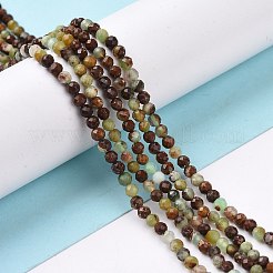 Natural Chrysoprase Beads Strands&nbsp;G-E591-08B