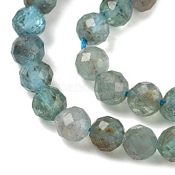 Natural Apatite Beads Strands&nbsp;G-RM250101-D1-A