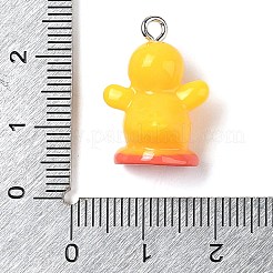 Opaque Resin Pendants&nbsp;RESI-S399-04