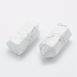 Natural Howlite Pointed Beads&nbsp;G-G760-K14