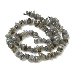 Natural Labradorite Beads Strands&nbsp;X-G-I225-15A