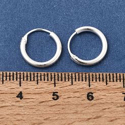 Brass Hoop Earrings&nbsp;EJEW-G474-01S-01