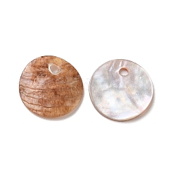Spray Painted Natural Akoya Shell Charms&nbsp;SHEL-F007-15A-01
