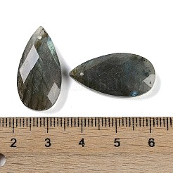 Natural Labradorite Pendants&nbsp;G-C140-05J