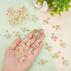 30Pcs Transparent Acrylic Pendants&nbsp;FIND-PH0008-05