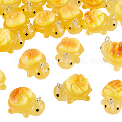 20Pcs 10 Styles Transparent Resin Bread-shaped Turtle Pendants&nbsp;RESI-TA0005-24