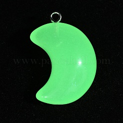 Transparent Luminous Glow in the Dark Resin Pendnats&nbsp;RESI-WH0038-27B-04