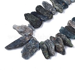 Natural Kyanite/Cyanite/Disthene Quartz Beads Strands&nbsp;G-R432-09