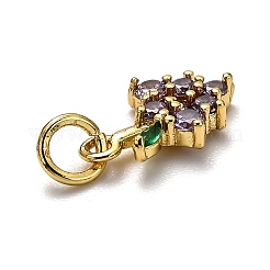 Brass Micro Pave Cubic Zirconia Charms&nbsp;ZIRC-H119-05G