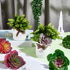 PVC Artificial Succulent Plant&nbsp;AJEW-SP0004-35A