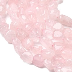 Natural Rose Quartz Beads Strands&nbsp;G-P601-A05-02