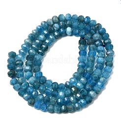 Natural Apatite Beads Strands&nbsp;G-K376-I09-3x4mm