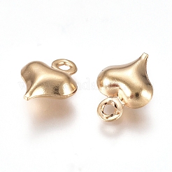 304 Stainless Steel Charms&nbsp;STAS-I138-11A-G