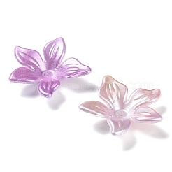 DIY Gradient Color Style Jewelry Making Finding Kits&nbsp;KY-F020-01A