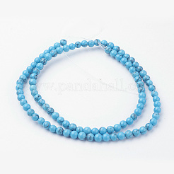 Synthetic Turquoise Bead Strands&nbsp;G-G735-13-4mm