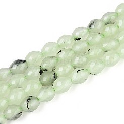 Natural Prehnite Beads Strands&nbsp;G-T142-82