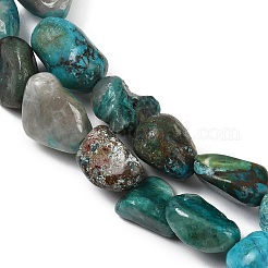 Natural Chrysocolla Beads Strands&nbsp;G-L493-61