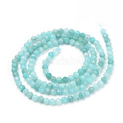 Natural Amazonite Beads Strands&nbsp;G-Q961-14-3mm