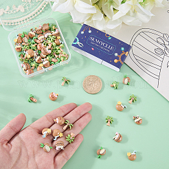 60Pcs Opaque Resin Cabochons&nbsp;CRES-SC0003-36