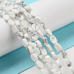 Natural Howlite Beads Strands&nbsp;G-M420-H14-03