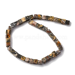 Natural Map Stone Beads Strands&nbsp;X-G-T139-8x8-45B