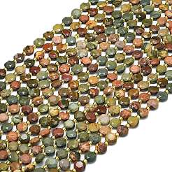 Natural Picasso Stone/Polychrome Jasper Beads Strands&nbsp;G-C116-A84-02